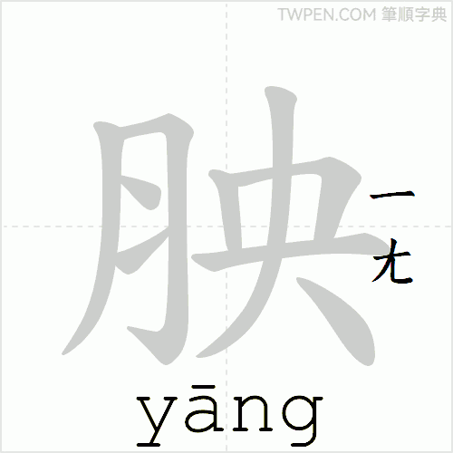 “「胦」的筆順動畫”
