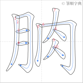 “「朒」的筆順”