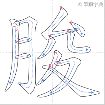 “「朘」的筆順”