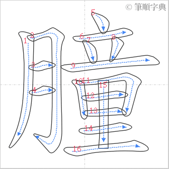 “「朣」的筆順”