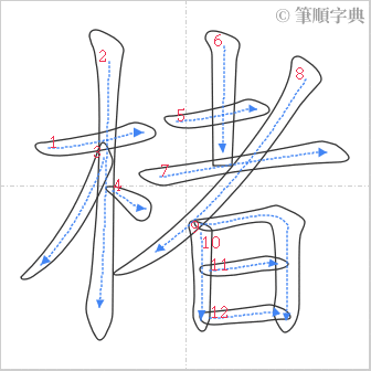 “「楮」的筆順”