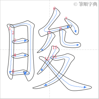 “「睃」的筆順”