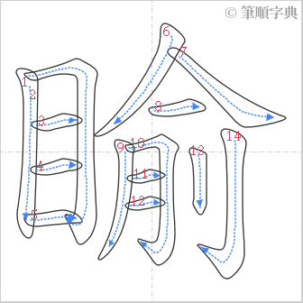 “「睮」的筆順”