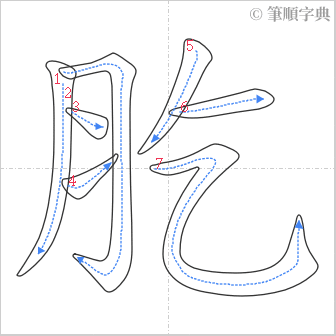 “「肐」的筆順”