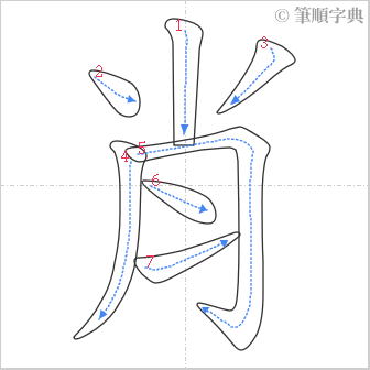 “「肖」的筆順”