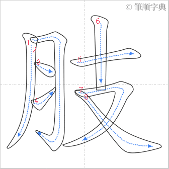 “「肢」的筆順”