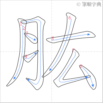 “「肱」的筆順”