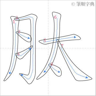 “「肽」的筆順”