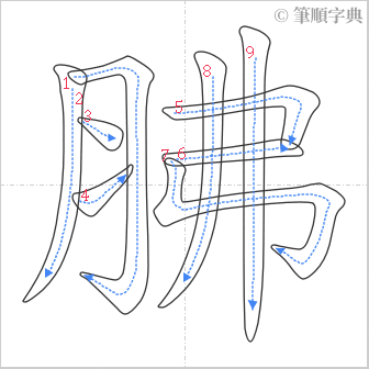 “「胇」的筆順”