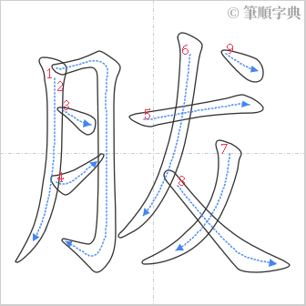 “「胈」的筆順”