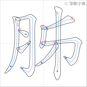 “「胏」的筆順”