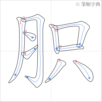 “「胑」的筆順”