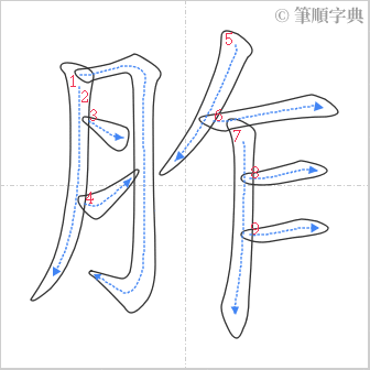 “「胙」的筆順”