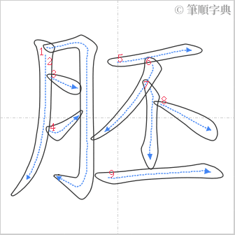 “「胚」的筆順”