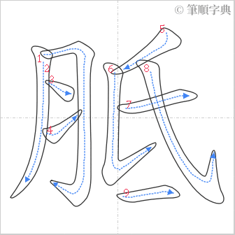 “「胝」的筆順”