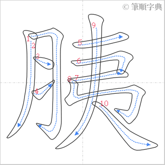 “「胰」的筆順”