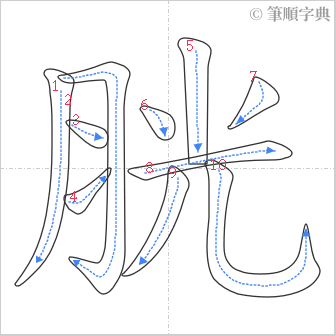 “「胱」的筆順”