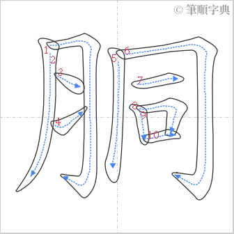 “「胴」的筆順”