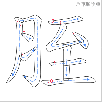 “「胵」的筆順”