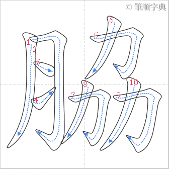 “「脇」的筆順”