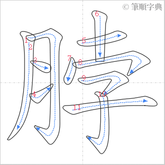 “「脖」的筆順”