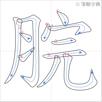 “「脘」的筆順”