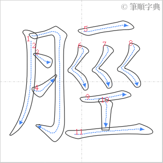 “「脛」的筆順”