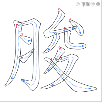 “「脧」的筆順”