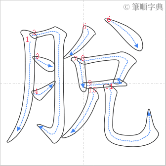 “「脫」的筆順”