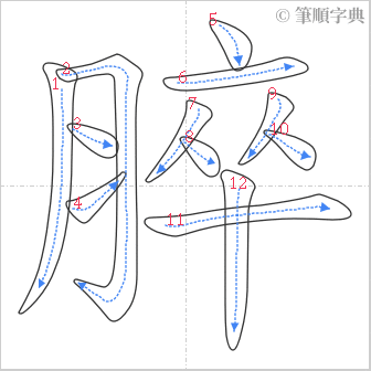 “「脺」的筆順”