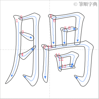 “「腡」的筆順”