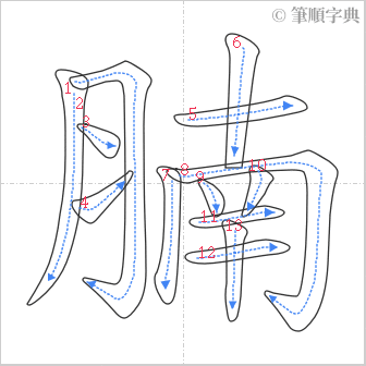 “「腩」的筆順”