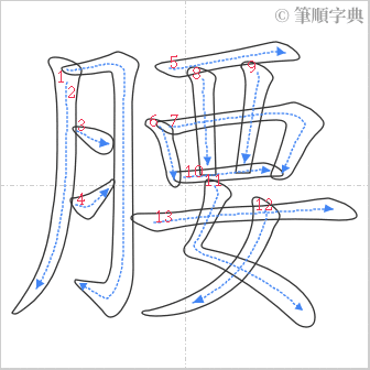 “「腰」的筆順”