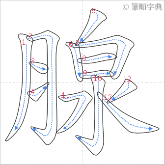 “「腺」的筆順”