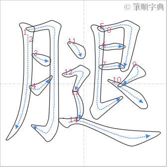 “「腿」的筆順”