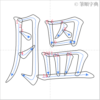 “「膃」的筆順”