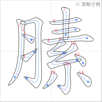 “「膆」的筆順”