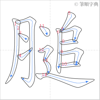 “「膇」的筆順”