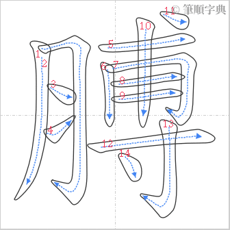 “「膊」的筆順”