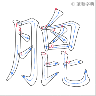 “「膍」的筆順”