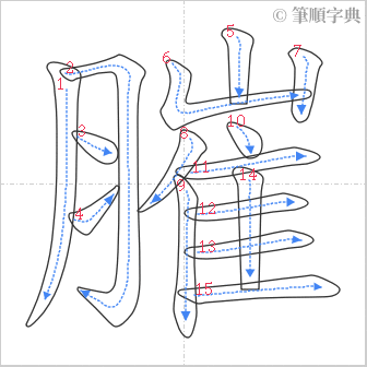 “「膗」的筆順”