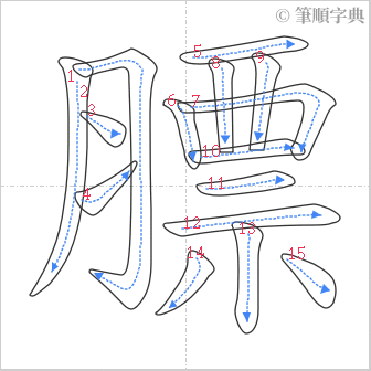 “「膘」的筆順”