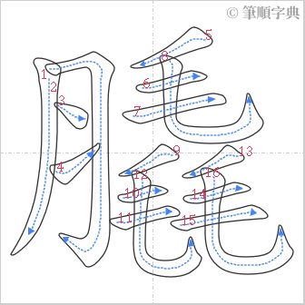 “「膬」的筆順”