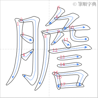 “「膽」的筆順”