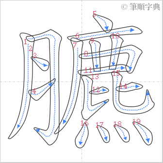 “「臕」的筆順”