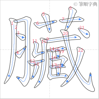 “「臟」的筆順”