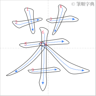 “「苯」的筆順”