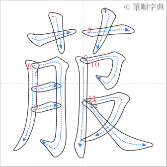 “「菔」的筆順”