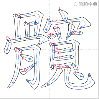 “「髖」的筆順”