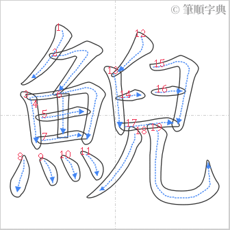 “「鯢」的筆順”